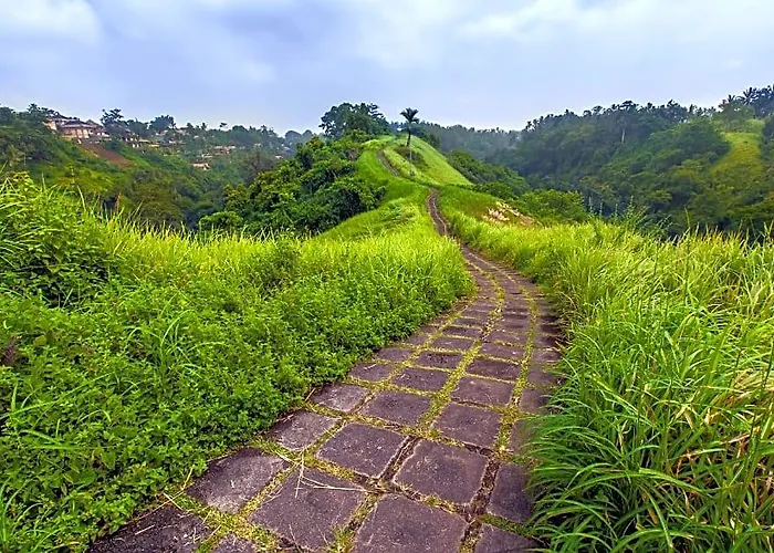 Jero Sebali By Travellink Bali * ウブド